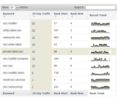 SEO Ranking Tracker
